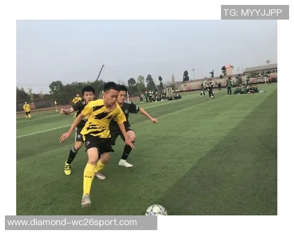 巴西足球魂的传承与荣耀探索天下足球的激情与梦想 巴西足球魂的传承与荣耀探索天下足球的激情与梦想